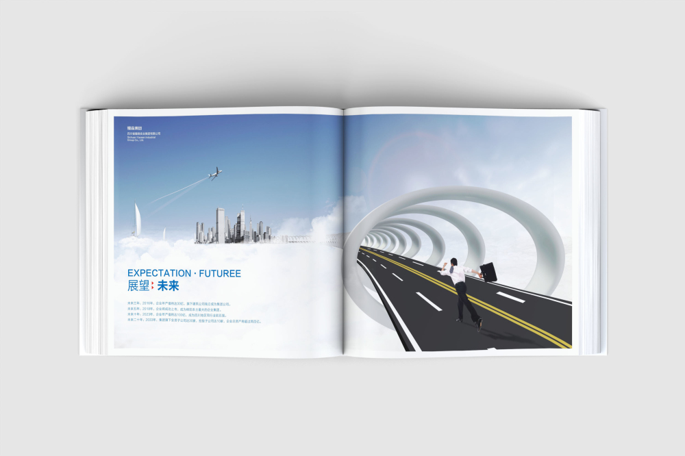 恒山区画册设计